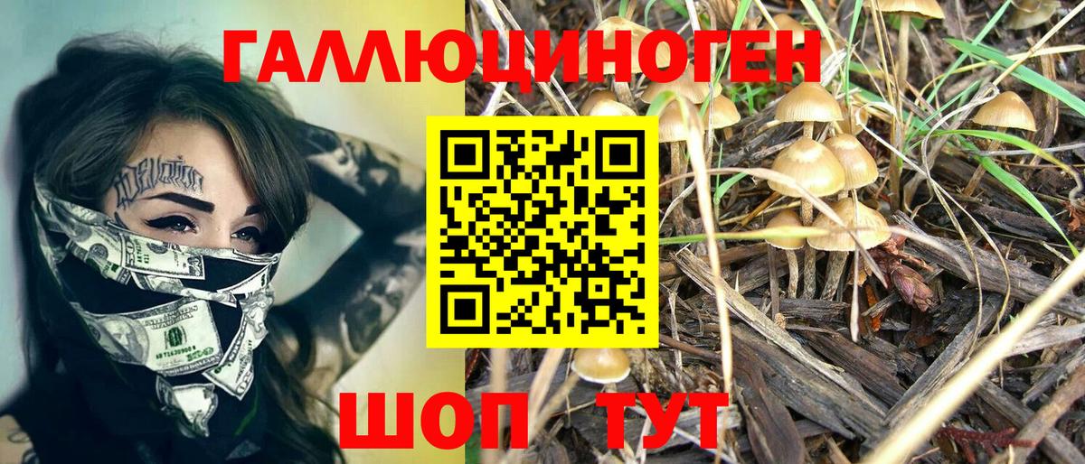 Галлюциногенные грибы ЛСД  Вход с VPN  Нарткала 