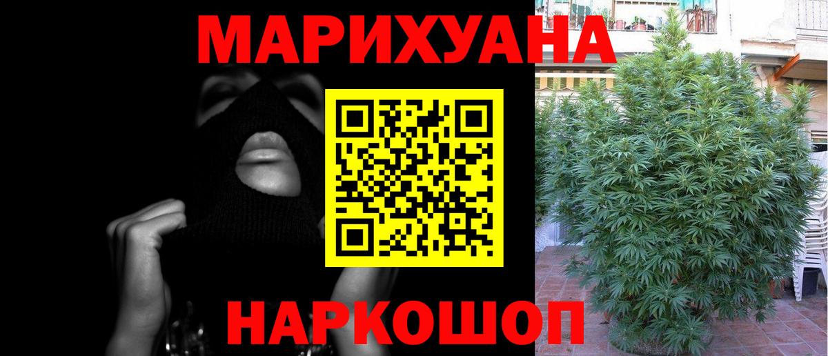 Каннабис план Нарткала